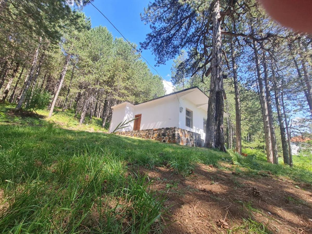 Bujtinat Skenderi Gjinar 2 Villa Dış mekan fotoğraf