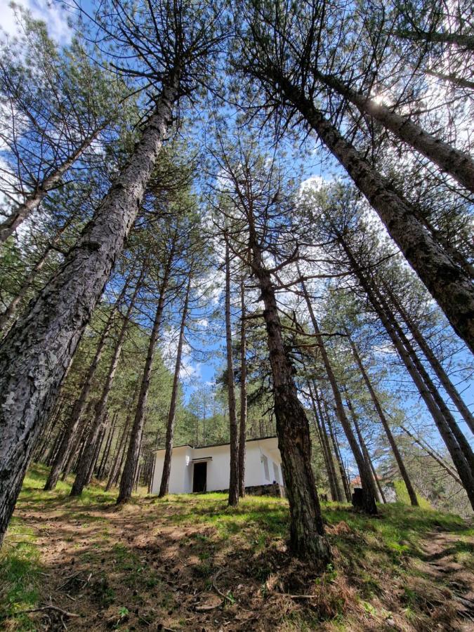 Bujtinat Skenderi Gjinar 2 Villa Dış mekan fotoğraf