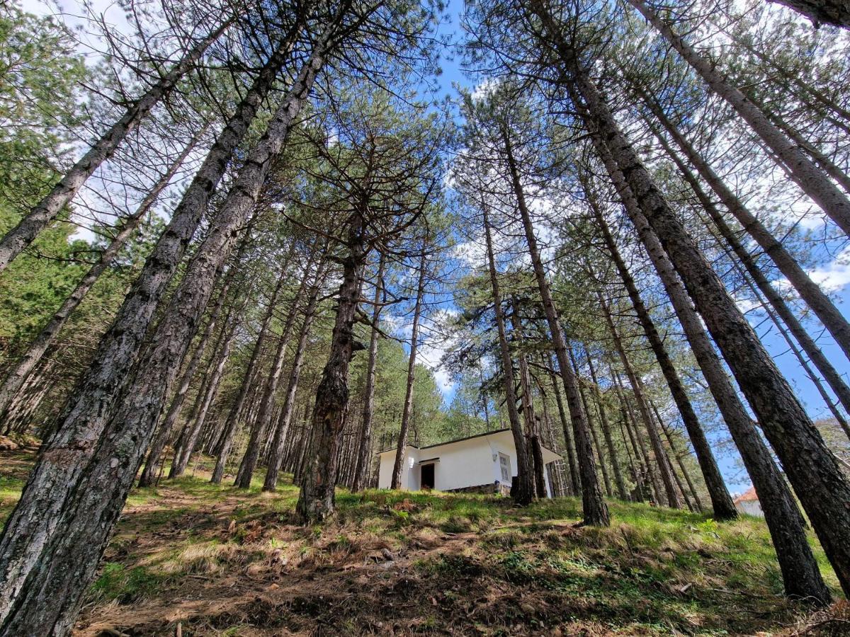 Bujtinat Skenderi Gjinar 2 Villa Dış mekan fotoğraf