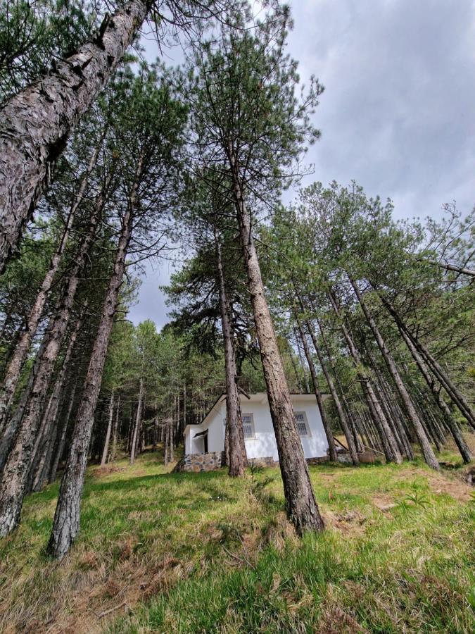 Bujtinat Skenderi Gjinar 2 Villa Dış mekan fotoğraf