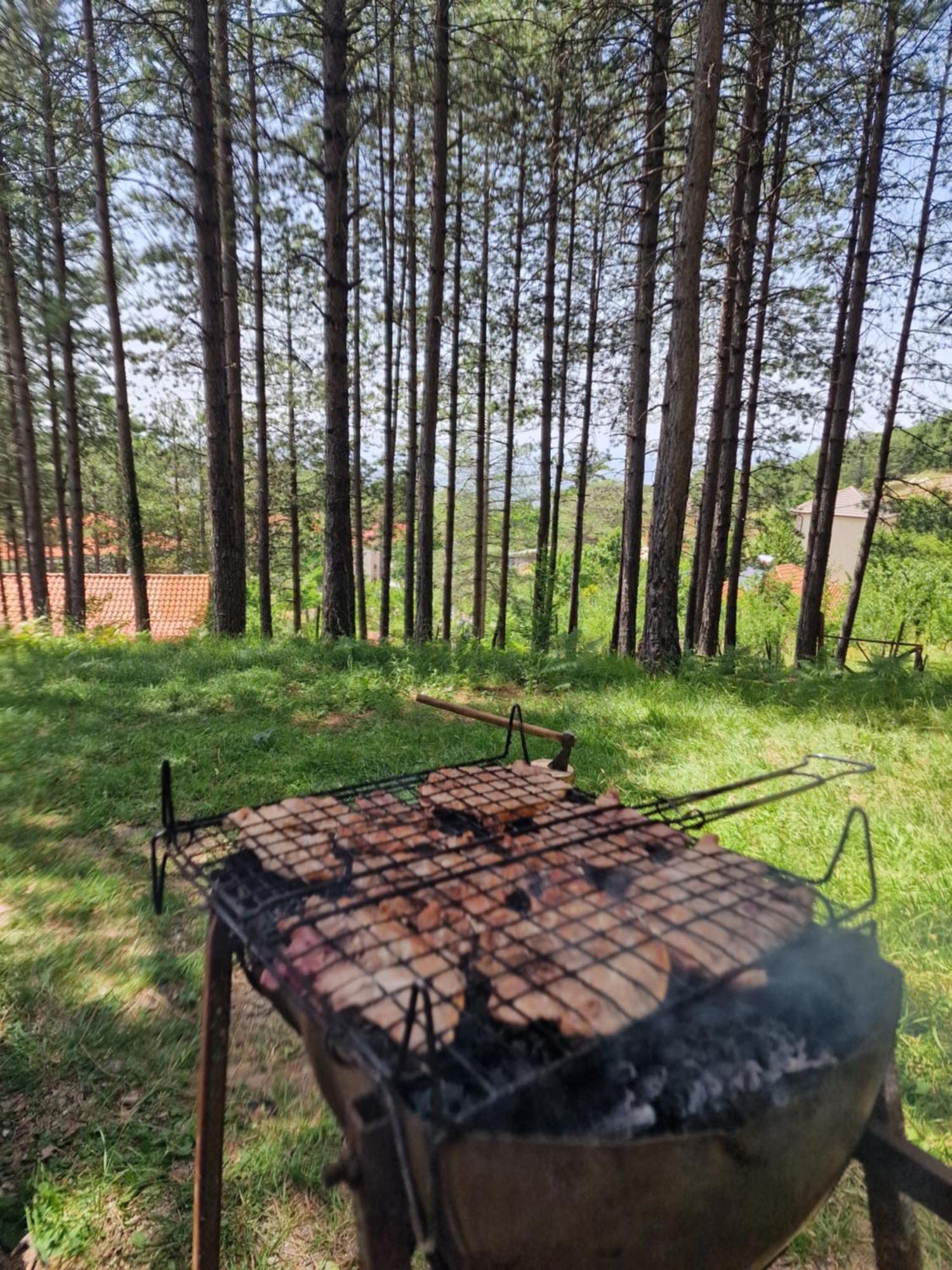 Bujtinat Skenderi Gjinar 2 Villa Dış mekan fotoğraf