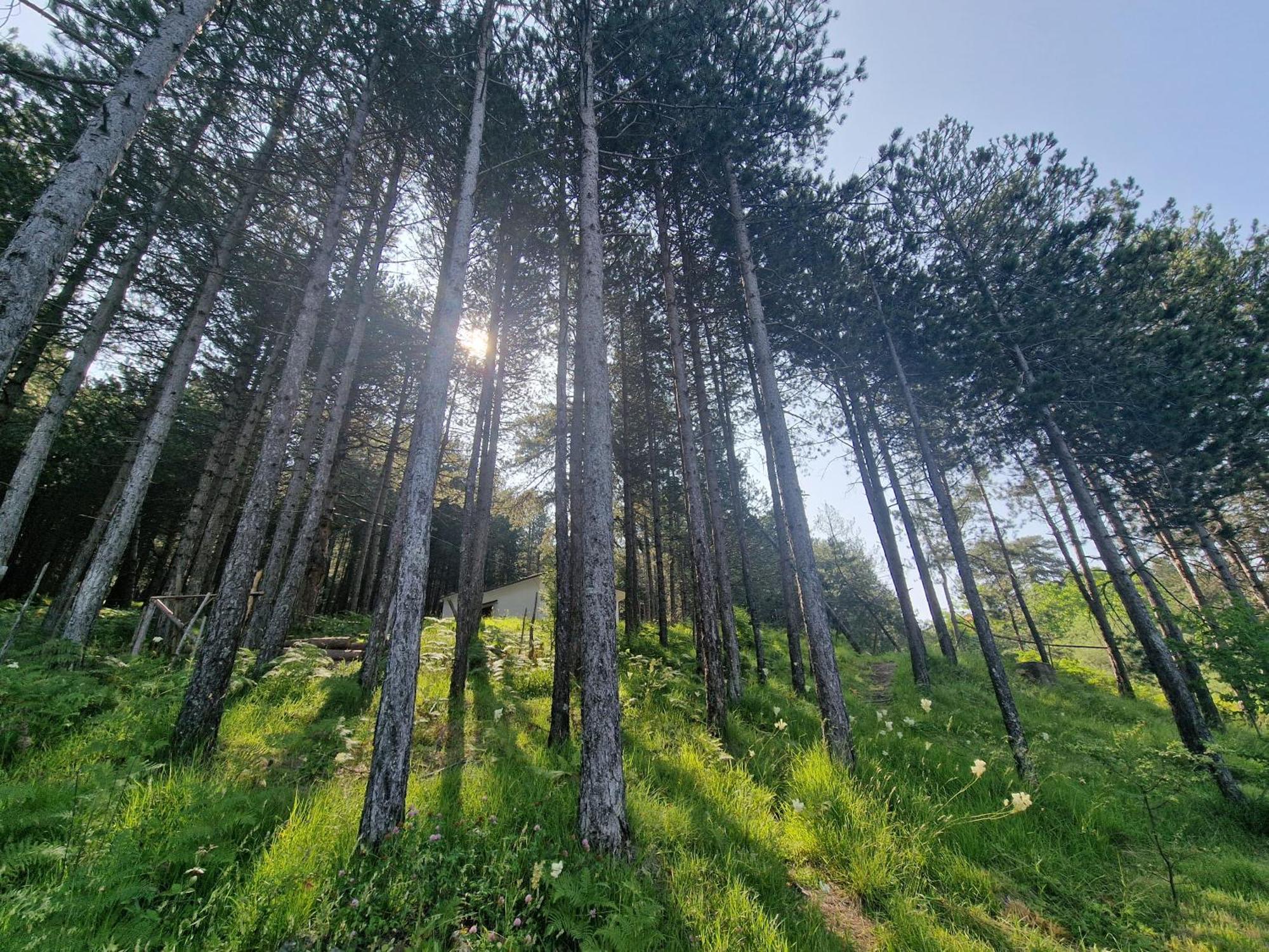 Bujtinat Skenderi Gjinar 2 Villa Oda fotoğraf